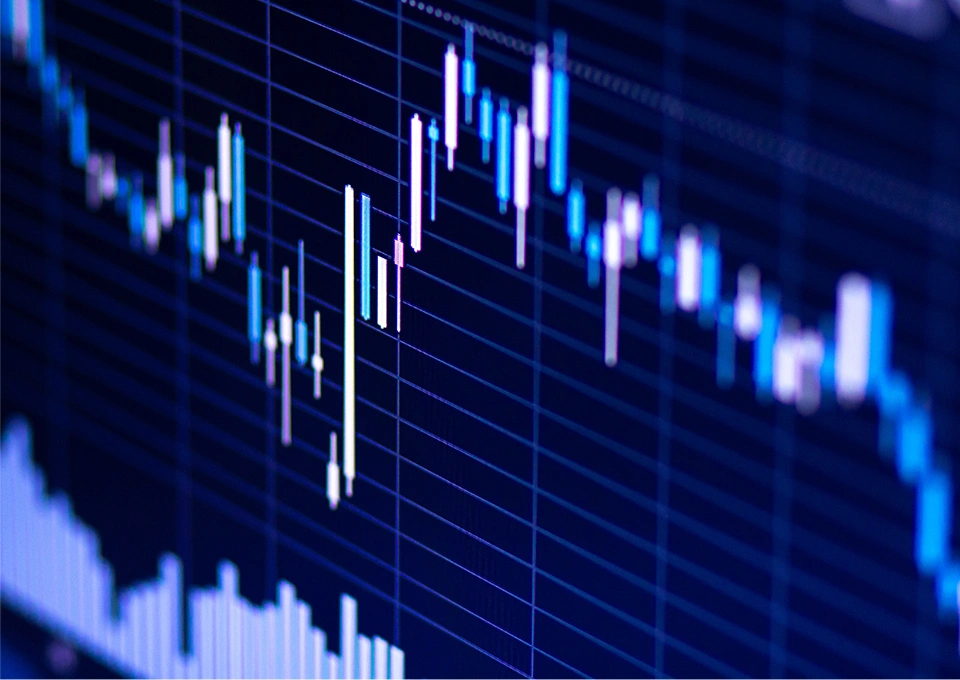 森林内陸上養殖プロジェクト