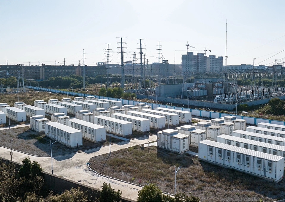 森林内陸上養殖プロジェクト