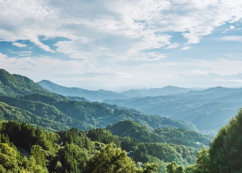 環境負荷を軽減するプロジェクトの推進